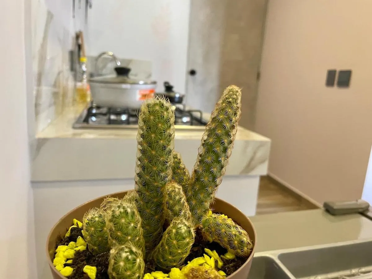 Unique Studio With Balcony Near Old Town Cartagena 아파트